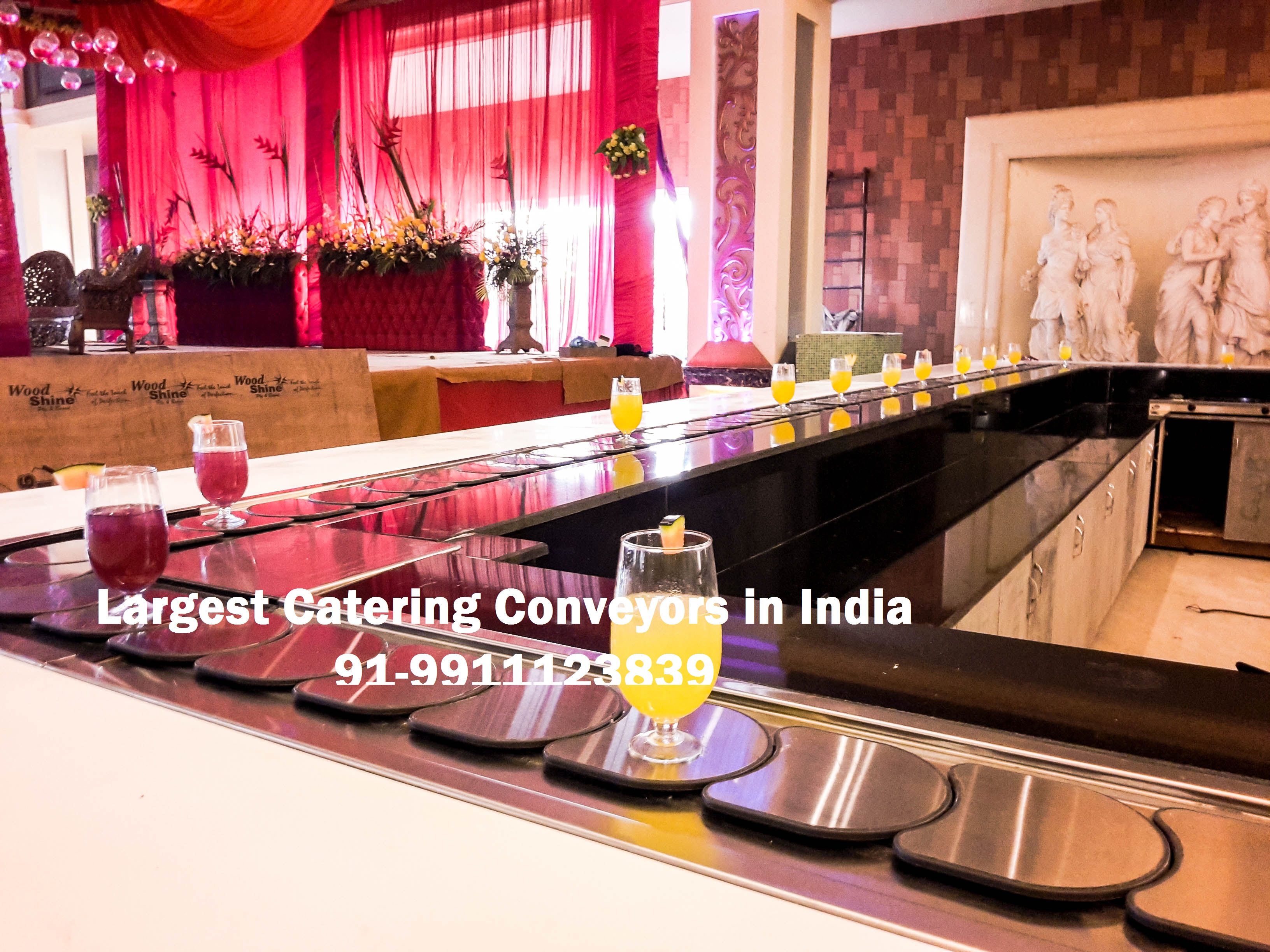 Sushi Conveyor manufacturer in Noida